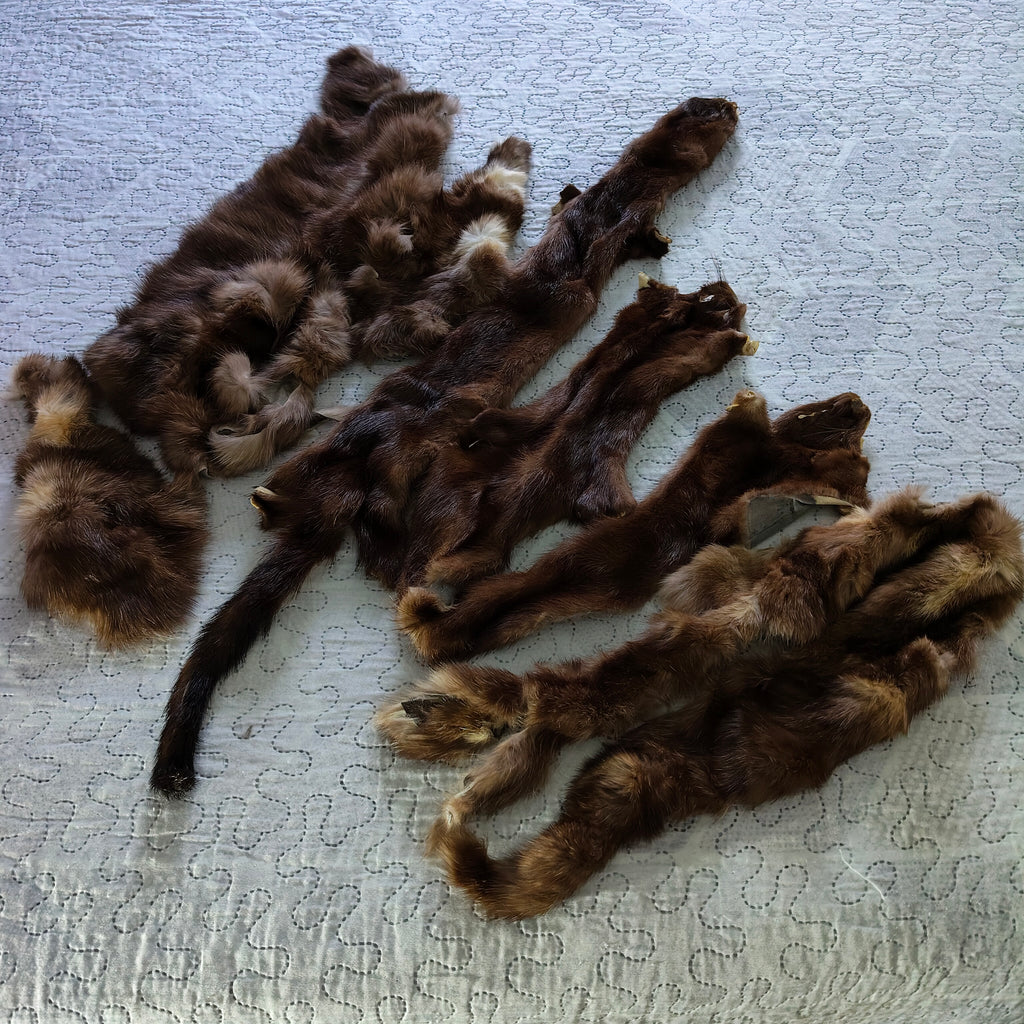 Splendide Stole e Pellicce Intere Visone Vintage